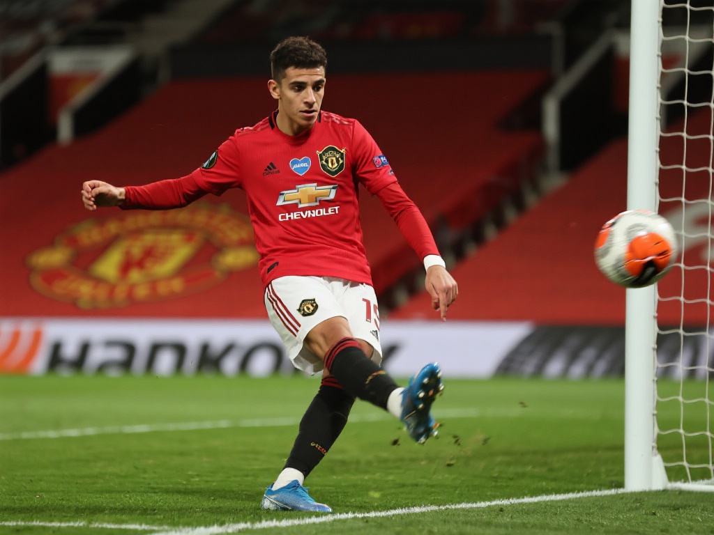 假村内的购 假村内的购